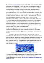 Referāts 'Glokalizācijas raksturojums un piemēru analīze', 11.