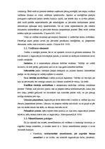 Referāts 'Vadītāja loma lēmumu pieņemšanas procesā', 4.