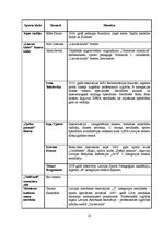 Referāts 'Iespējas nodarboties ar sportu Valmieras sporta klubos', 23.