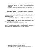 Referāts 'Kompetence', 9.