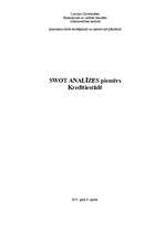 Referāts 'SWOT analīzes piemērs', 1.