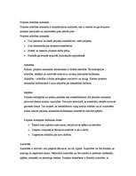 Konspekts 'Projekta attīstības fāzes', 3.