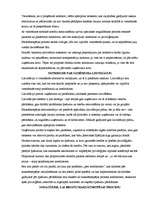 Referāts 'Juridiskas personas darbības izbeigšana', 12.