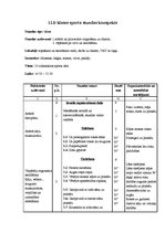 Paraugs 'Sporta stundas konspekts 11.klasei vingrošanā', 1.