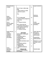 Paraugs 'Sporta stundas konspekts 11.klasei vingrošanā', 3.