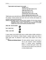 Referāts 'Nauda', 17.