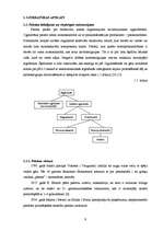 Referāts 'Pektīnu satura fotometriskā noteikšana ābolu sulās', 6.