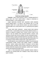 Referāts 'Pektīnu satura fotometriskā noteikšana ābolu sulās', 8.