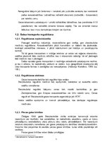 Referāts 'Tūrisma sektora raksturojums - gaisa transports', 5.