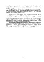 Referāts 'Tūrisma sektora raksturojums - gaisa transports', 11.