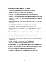 Referāts 'Tūrisma sektora raksturojums - gaisa transports', 17.