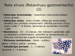 Prezentācija 'Rota vīruss un garais klepus', 15.
