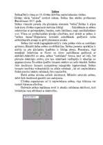 Konspekts 'Selēns', 1.