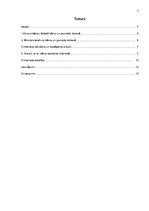 Referāts 'Mūsdienu bērns interneta vidē', 3.