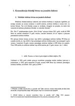 Referāts 'Mūsdienu bērns interneta vidē', 5.