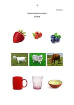 Prezentācija 'Bērna runas/valodas izpēte pirmsskolas vecumā', 18.