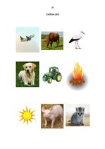 Prezentācija 'Bērna runas/valodas izpēte pirmsskolas vecumā', 20.