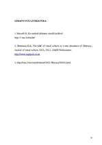 Referāts 'Vizuālā kultūra izglītībā', 10.