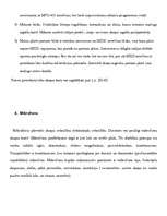 Referāts 'Datora multimēdiju aprīkojums', 7.