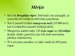 Prezentācija 'Sundarbana mitrājs', 5.