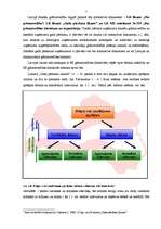 Referāts 'Peļņas, zaudējumu aprēķina shēmas', 5.