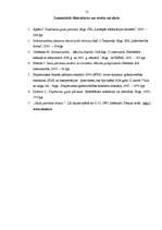 Referāts 'Peļņas, zaudējumu aprēķina shēmas', 12.