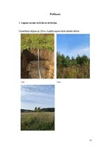 Prakses atskaite 'Latvijas augsne un dzīvā daba', 14.
