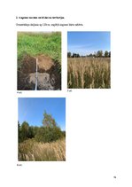 Prakses atskaite 'Latvijas augsne un dzīvā daba', 16.