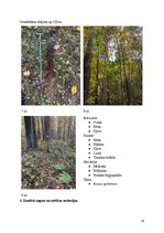 Prakses atskaite 'Latvijas augsne un dzīvā daba', 18.