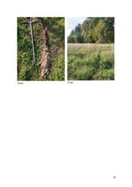 Prakses atskaite 'Latvijas augsne un dzīvā daba', 21.