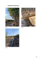 Prakses atskaite 'Latvijas augsne un dzīvā daba', 22.