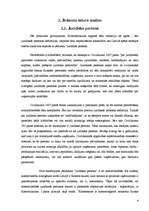 Referāts 'Juridiska persona kā terorisma finansētājs', 4.