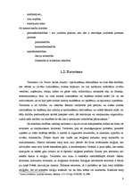 Referāts 'Juridiska persona kā terorisma finansētājs', 8.