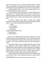 Referāts 'Juridiska persona kā terorisma finansētājs', 21.