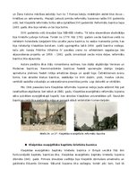 Konspekts 'Tūrisma maršruta piedāvājums "Kristīgo dievnamu diženums, skaistums un daudzveid', 14.