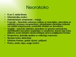 Prezentācija 'Eklektisms un historisms mēbelēs un interjerā', 24.