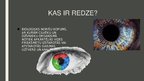 Prezentācija 'Redze', 2.