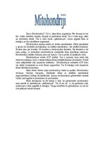 Eseja 'Kas ir mitohondriji', 1.
