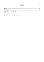 Referāts 'Absolūtisms un tā iezīmes Francijā', 2.