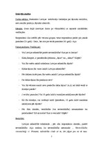 Referāts 'Interviju analīze', 1.