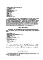 Referāts 'Darba tirgus Latvijā', 5.