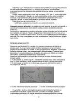 Referāts 'Darba tirgus Latvijā', 16.