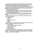 Referāts 'Darba tirgus Latvijā', 19.