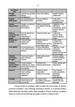 Diplomdarbs 'Mārketinga komunikāciju pielietojums uzņēmumā', 16.