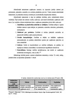 Diplomdarbs 'Mārketinga komunikāciju pielietojums uzņēmumā', 19.