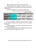 Diplomdarbs 'Mārketinga komunikāciju pielietojums uzņēmumā', 29.