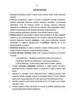 Diplomdarbs 'Mārketinga komunikāciju pielietojums uzņēmumā', 43.