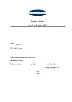 Prakses atskaite 'Prakses pārskats', 1.