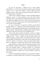 Prakses atskaite 'Prakses pārskats', 3.