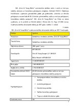 Prakses atskaite 'Prakses pārskats', 7.